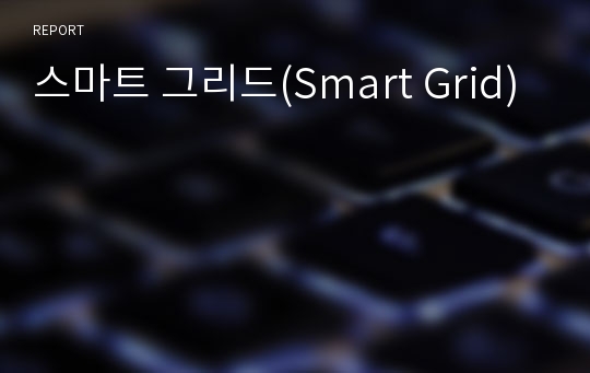 스마트 그리드(Smart Grid)