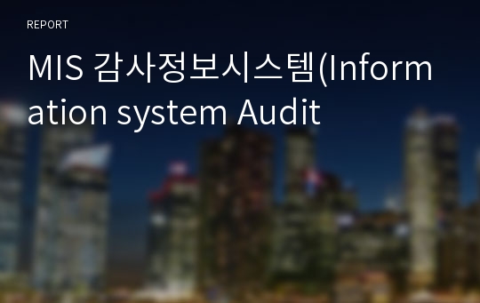 MIS 감사정보시스템(Information system Audit