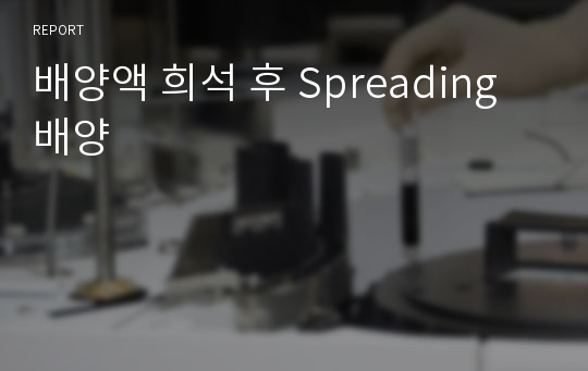 배양액 희석 후 Spreading 배양