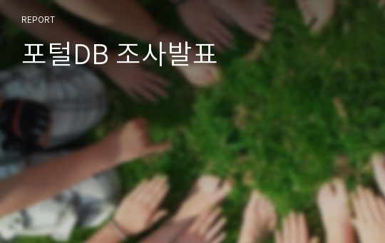 포털DB 조사발표