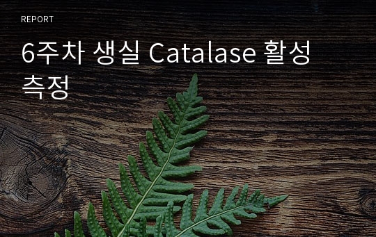 6주차 생실 Catalase 활성 측정