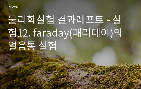 물리학실험 결과레포트 - 실험12. faraday(패러데이)의 얼음통 실험