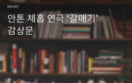 안톤 체홉 연극 ‘갈매기’ 감상문