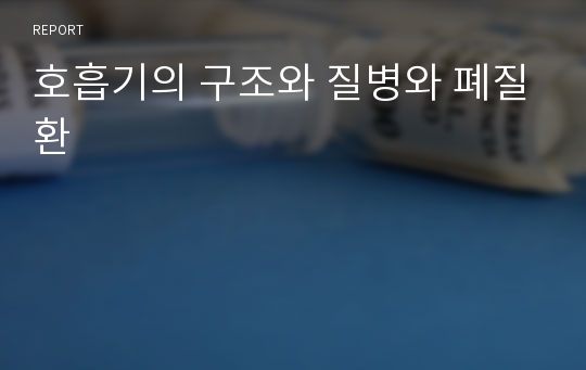 호흡기의 구조와 질병와 폐질환