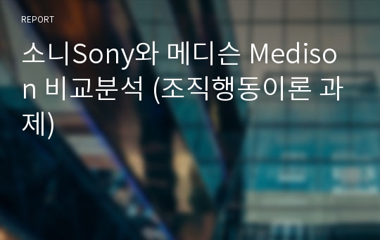 소니Sony와 메디슨 Medison 비교분석 (조직행동이론 과제)