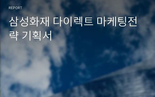 삼성화재 다이렉트 마케팅전략 기획서