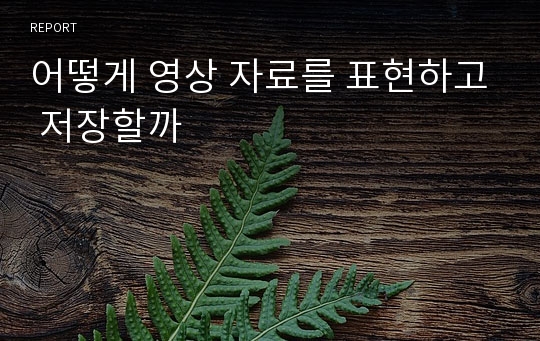 어떻게 영상 자료를 표현하고 저장할까