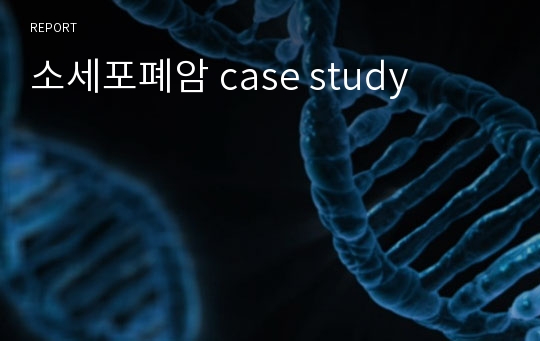 소세포폐암 case study