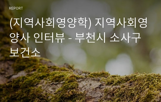 (지역사회영양학) 지역사회영양사 인터뷰 - 부천시 소사구 보건소
