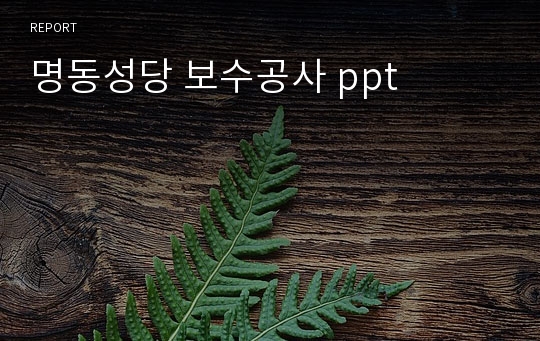 명동성당 보수공사 ppt