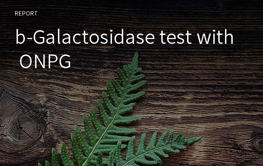 b-Galactosidase test with ONPG