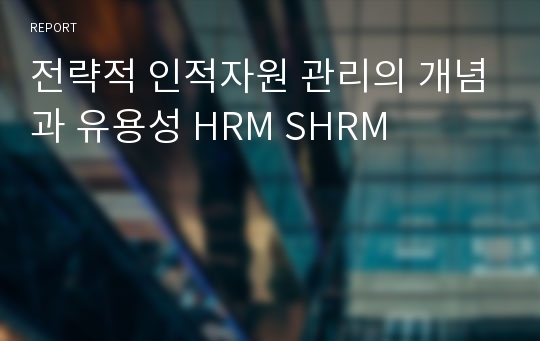 전략적 인적자원 관리의 개념과 유용성 HRM SHRM