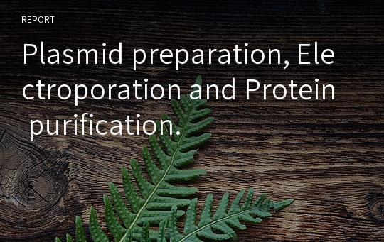 Plasmid preparation, Electroporation and Protein purification.