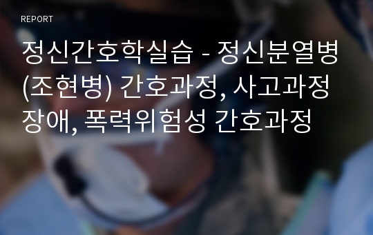 정신간호학실습 - 정신분열병(조현병) 간호과정, 사고과정장애, 폭력위험성 간호과정