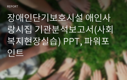 장애인단기보호시설 애인사랑시집 기관분석보고서(사회복지현장실습) PPT, 파워포인트