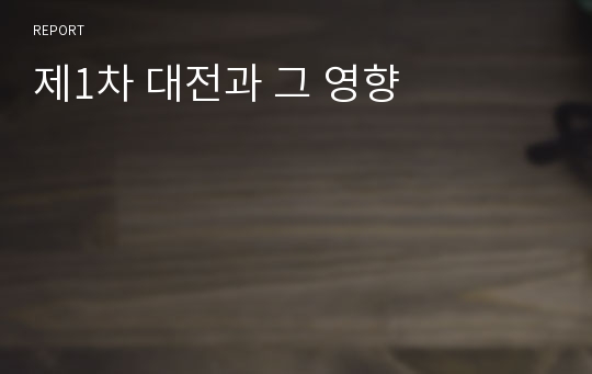 제1차 대전과 그 영향