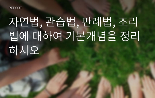 자연법, 관습법, 판례법, 조리법에 대하여 기본개념을 정리하시오