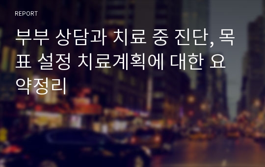 부부 상담과 치료 중 진단, 목표 설정 치료계획에 대한 요약정리