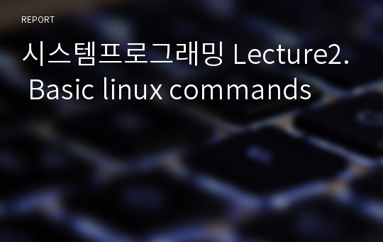 시스템프로그래밍 Lecture2. Basic linux commands