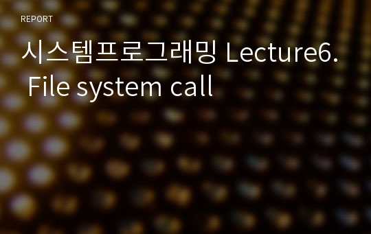 시스템프로그래밍 Lecture6. File system call