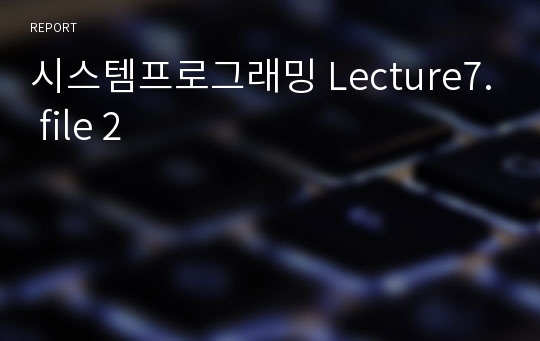 시스템프로그래밍 Lecture7. file 2