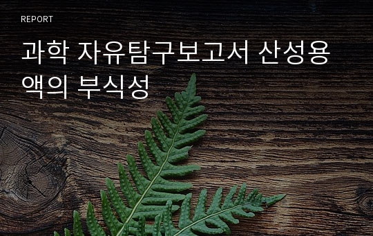 과학 자유탐구보고서 산성용액의 부식성