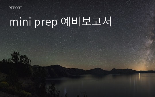 mini prep 예비보고서