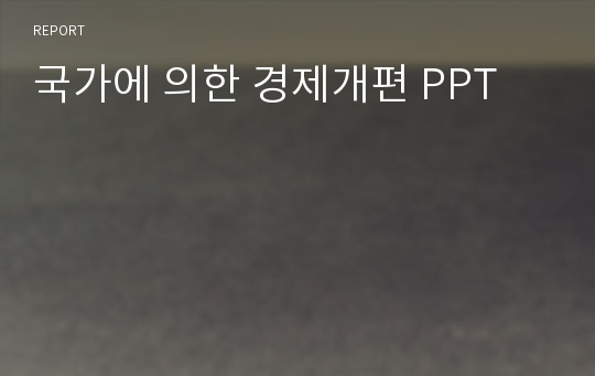 국가에 의한 경제개편 PPT