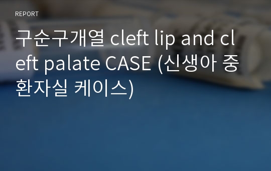 구순구개열 cleft lip and cleft palate CASE (신생아 중환자실 케이스)