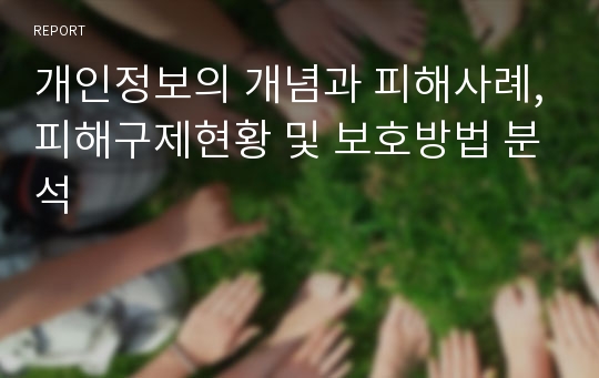 개인정보의 개념과 피해사례,피해구제현황 및 보호방법 분석