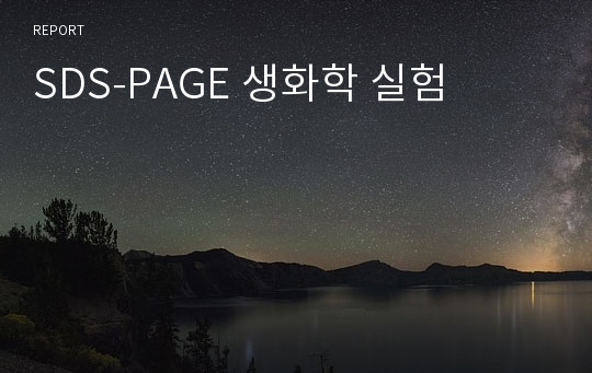 SDS-PAGE 생화학 실험