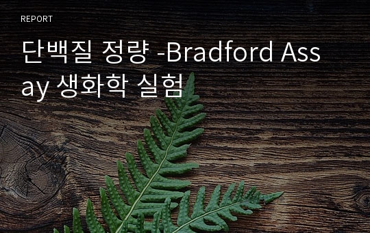 단백질 정량 -Bradford Assay 생화학 실험