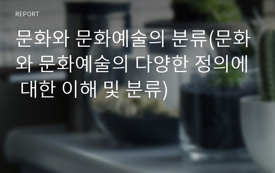 문화와 문화예술의 분류(문화와 문화예술의 다양한 정의에 대한 이해 및 분류)