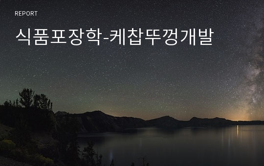 식품포장학-케찹뚜껑개발