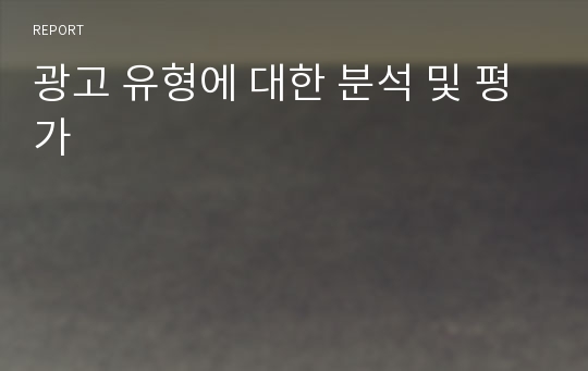 광고 유형에 대한 분석 및 평가