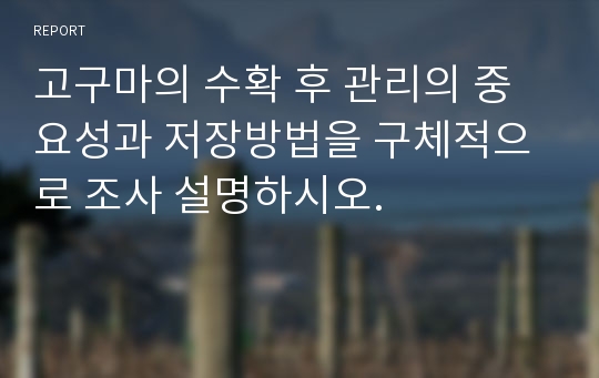 고구마의 수확 후 관리의 중요성과 저장방법을 구체적으로 조사 설명하시오.