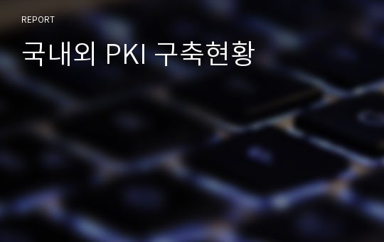 국내외 PKI 구축현황