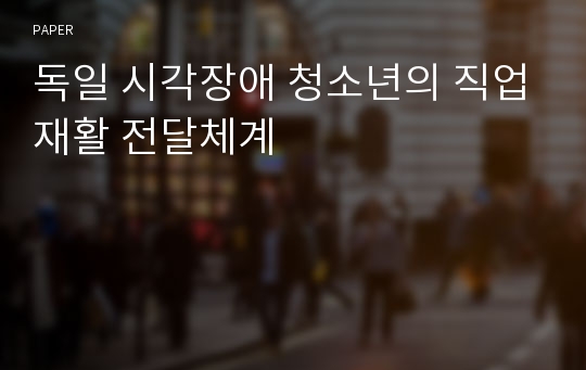 독일 시각장애 청소년의 직업재활 전달체계