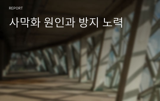 사막화 원인과 방지 노력