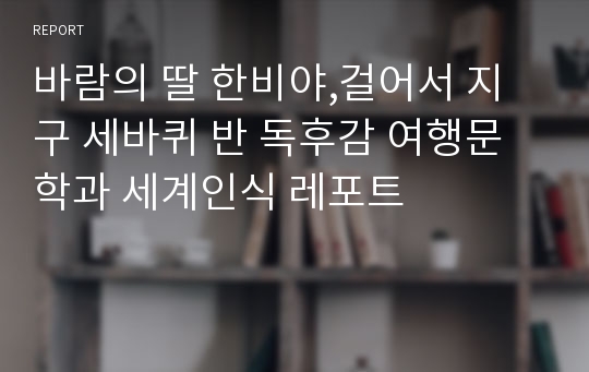 바람의 딸 한비야,걸어서 지구 세바퀴 반 독후감 여행문학과 세계인식 레포트