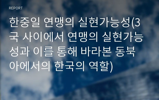 한중일 연맹의 실현가능성(3국 사이에서 연맹의 실현가능성과 이를 통해 바라본 동북아에서의 한국의 역할)