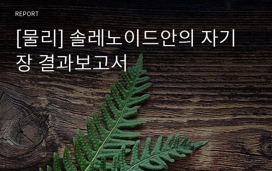 [물리] 솔레노이드안의 자기장 결과보고서