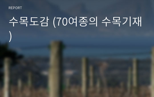 수목도감 (70여종의 수목기재)