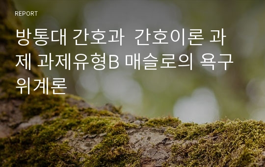 방통대 간호과  간호이론 과제 과제유형B 매슬로의 욕구위계론