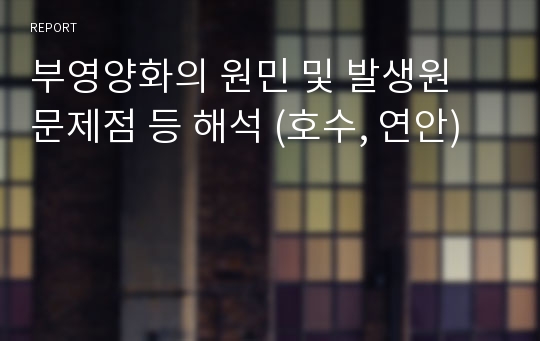 부영양화의 원민 및 발생원 문제점 등 해석 (호수, 연안)