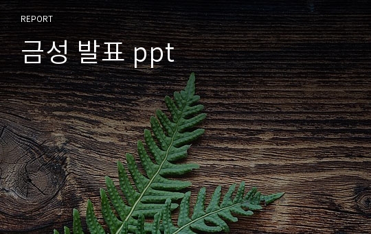 금성 발표 ppt