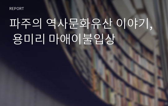 파주의 역사문화유산 이야기, 용미리 마애이불입상