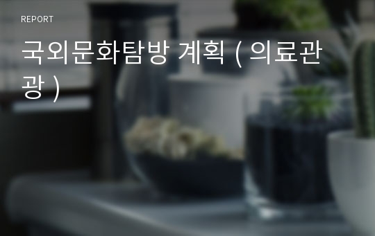 국외문화탐방 계획 ( 의료관광 )