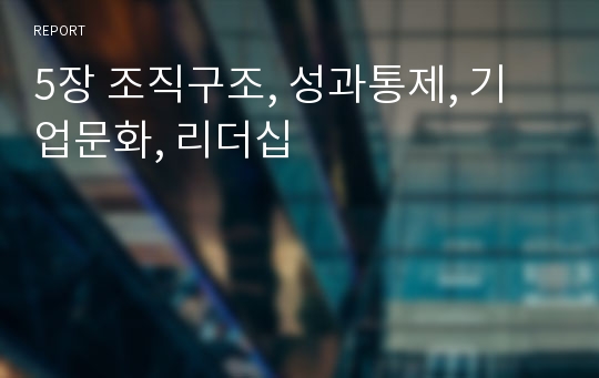 5장 조직구조, 성과통제, 기업문화, 리더십