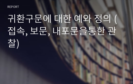 귀환구문에 대한 예와 정의 (접속, 보문, 내포문을통한 관찰)